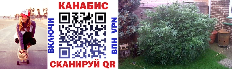 Марихуана LSD WEED дарк нет клад Змеиногорск